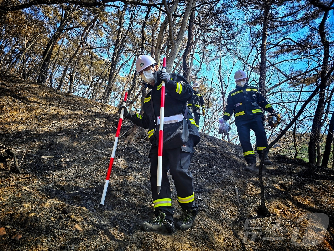 7일 국립공원연구원 조사원들이 주왕산에서 산불 피해상황 기초조사를 벌이고 있다. ⓒ 뉴스1 황덕현 기자