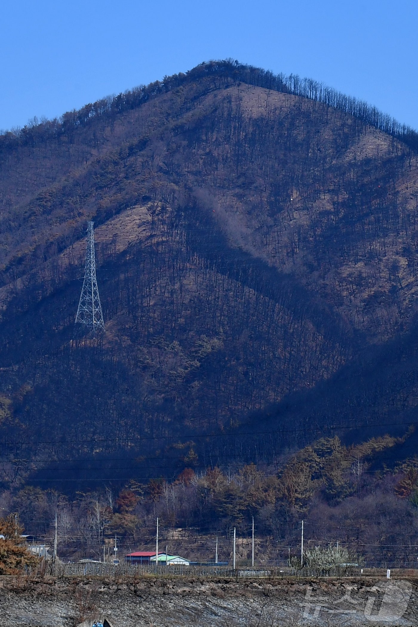 산불 피해지역인 경북 영덕군 달산면 주변 산이 온통 검은색으로 변해있다. 2025.4.8/뉴스1 최창호 기자  