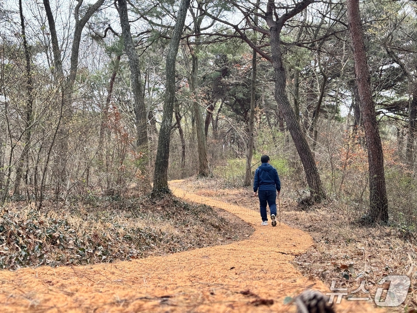 고창군은 고창읍 월곡아파트 뒤편 주차장에서 공설운동장까지 이어지는 약 2.7㎞ 구간의 월곡숲길을 정비 완료했다.(고창군 제공. 재판매 및 DB금지)