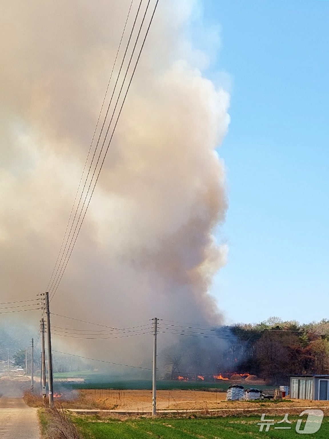 8일 경북 경주시 외동읍 북토리 인근 산에서 불 나 50여분만에 인명 피해없이 진화됐다. (산림청제공, 제판매 및 DB 금지) 2025.4.8/뉴스1 