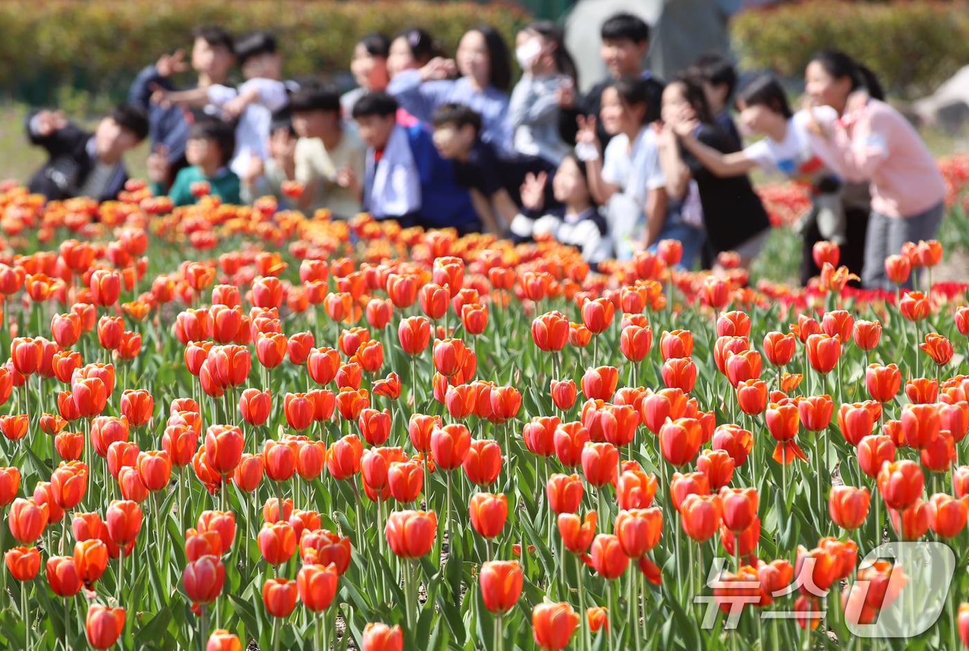 포근한 봄 날씨를 보인 지난 8일 오후 부산 북구 화명생태공원을 찾은 어린이들이 활짝 핀 튤립을 보며 즐거운 시간을 보내고 있다. 2025.4.8/뉴스1 ⓒ News1 윤일지 기자