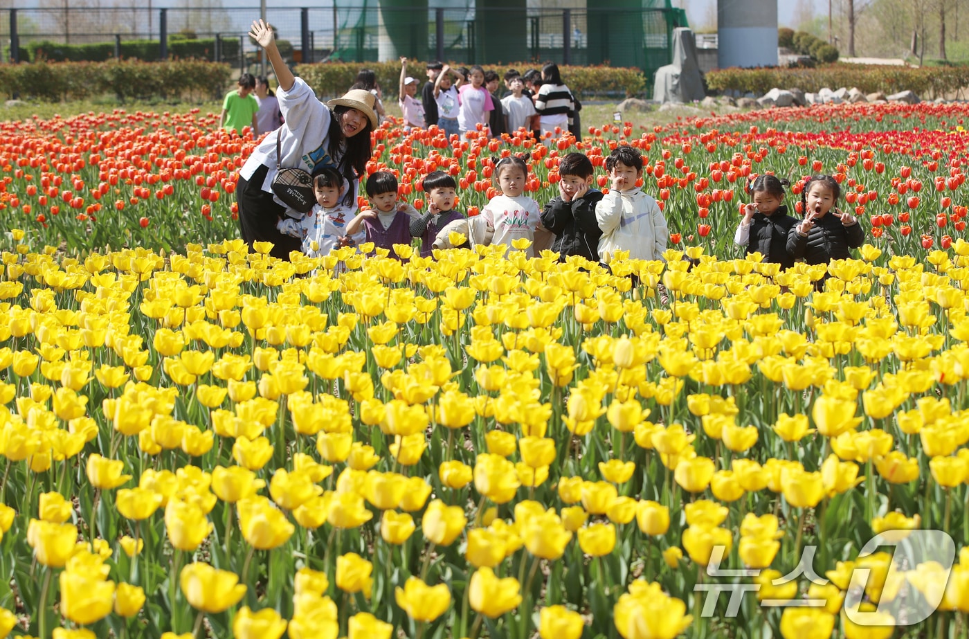 포근한 봄 날씨를 보인 지난 8일 오후 부산 북구 화명생태공원을 찾은 어린이들이 활짝 핀 튤립을 보며 즐거운 시간을 보내고 있다. 2025.4.8/뉴스1 ⓒ News1 윤일지 기자