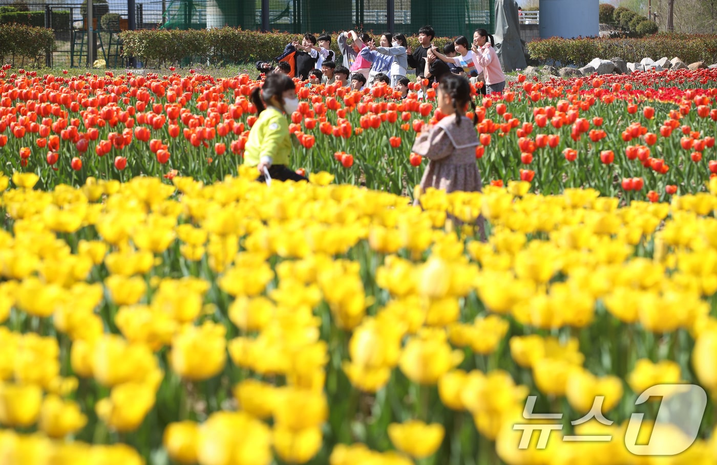 포근한 봄 날씨를 보인 8일 오후 부산 북구 화명생태공원을 찾은 어린이들이 활짝 핀 튤립을 보며 즐거운 시간을 보내고 있다. 2025.4.8/뉴스1 ⓒ News1 윤일지 기자