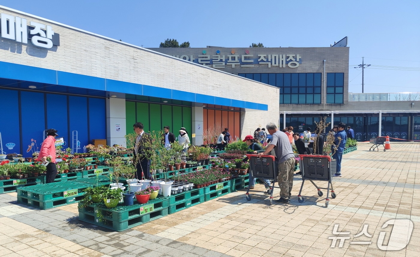 태안로컬푸드직매장 꽃 판매장 모습. (태안군 제공. 재판매 및 DB금지) /뉴스1