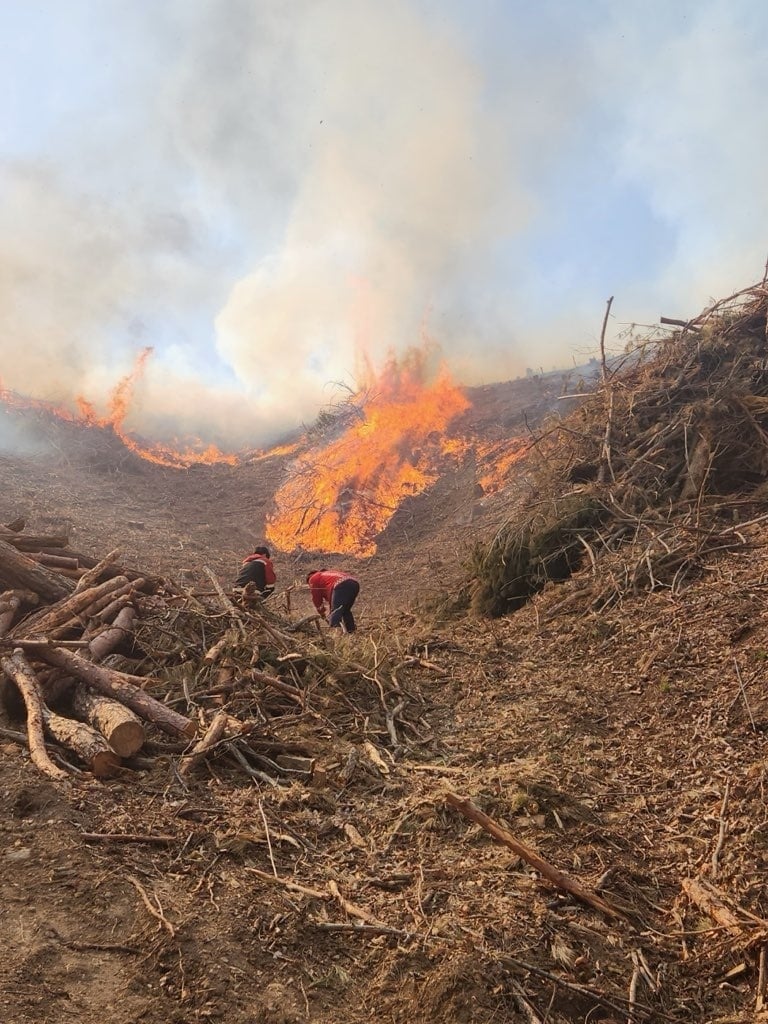 산불 현장(영동소방서 제공. 재판매 및 DB금지)