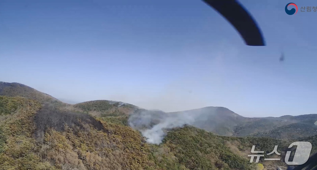 산청 산불 현장&#40;산림청 제공. 재판매 및 DB금지&#41;. 2025.4.8