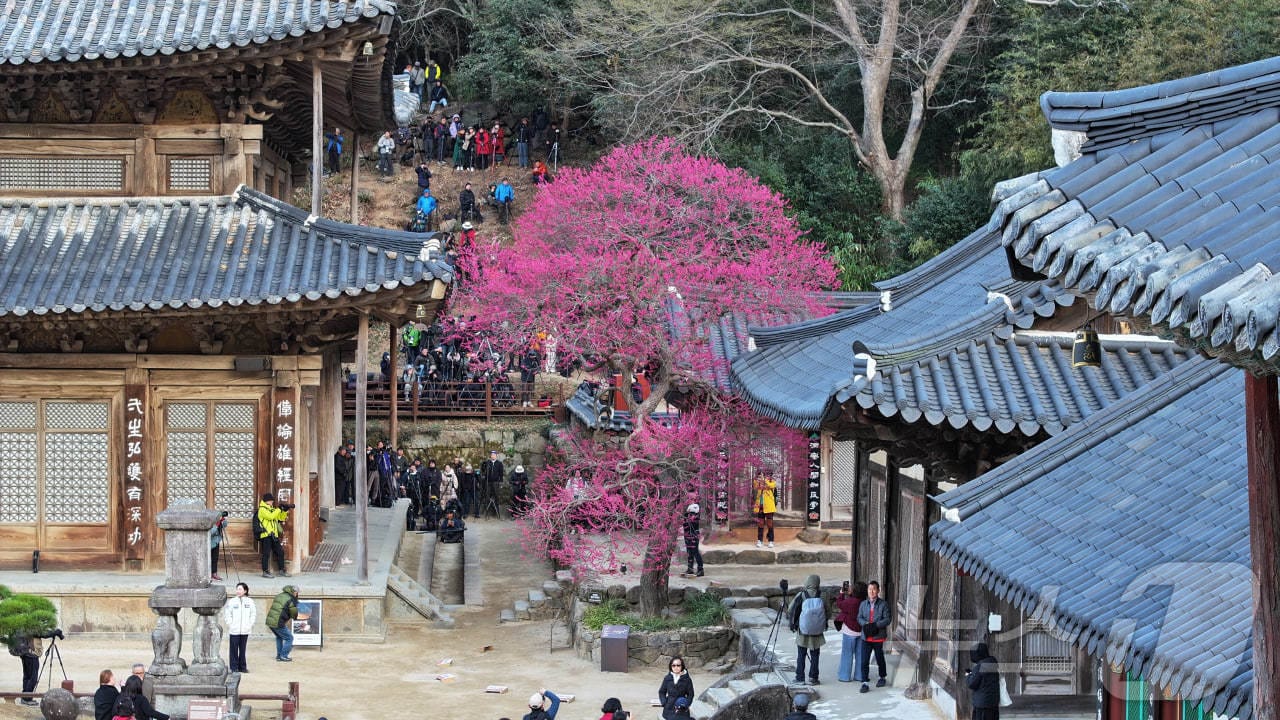 구례 화엄사.(화엄사 제공. 재판매 및 DB 금지)