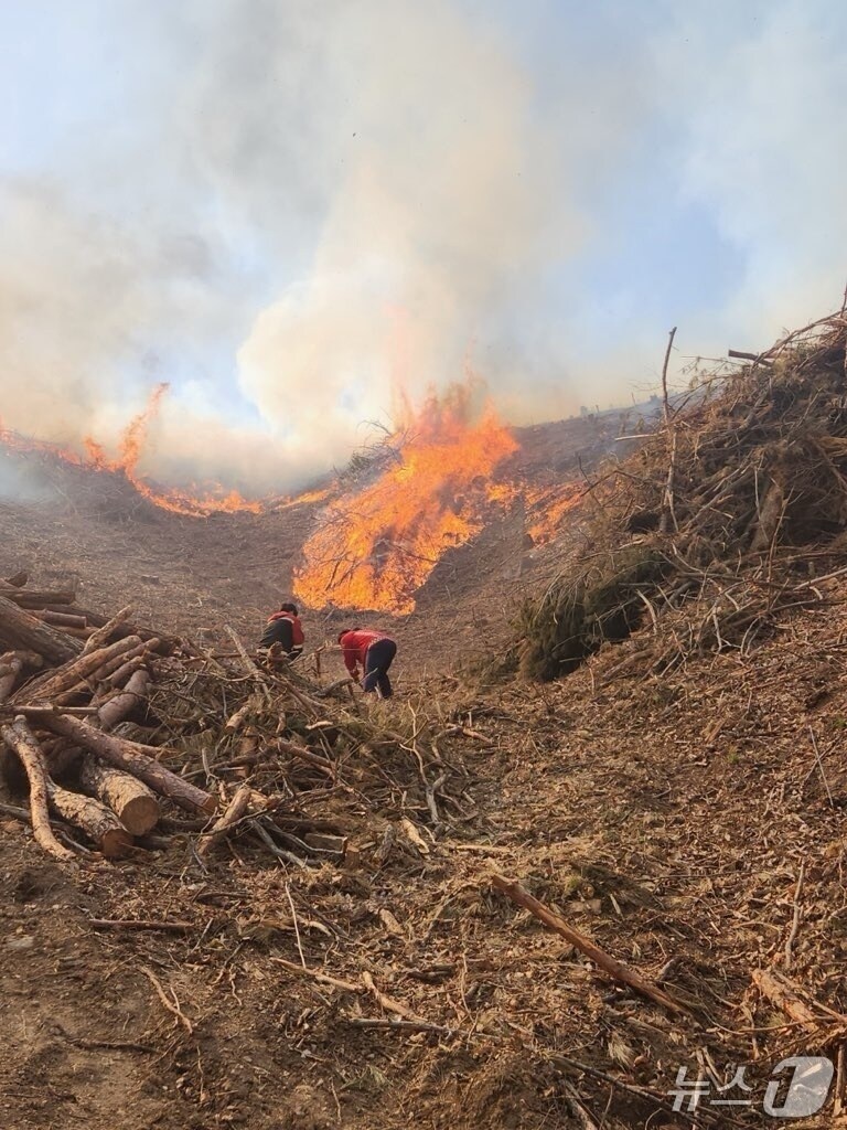 충북 영동 임계리 산불 현장.(영동소방서 제공, 재판매 및 DB금지)/뉴스1