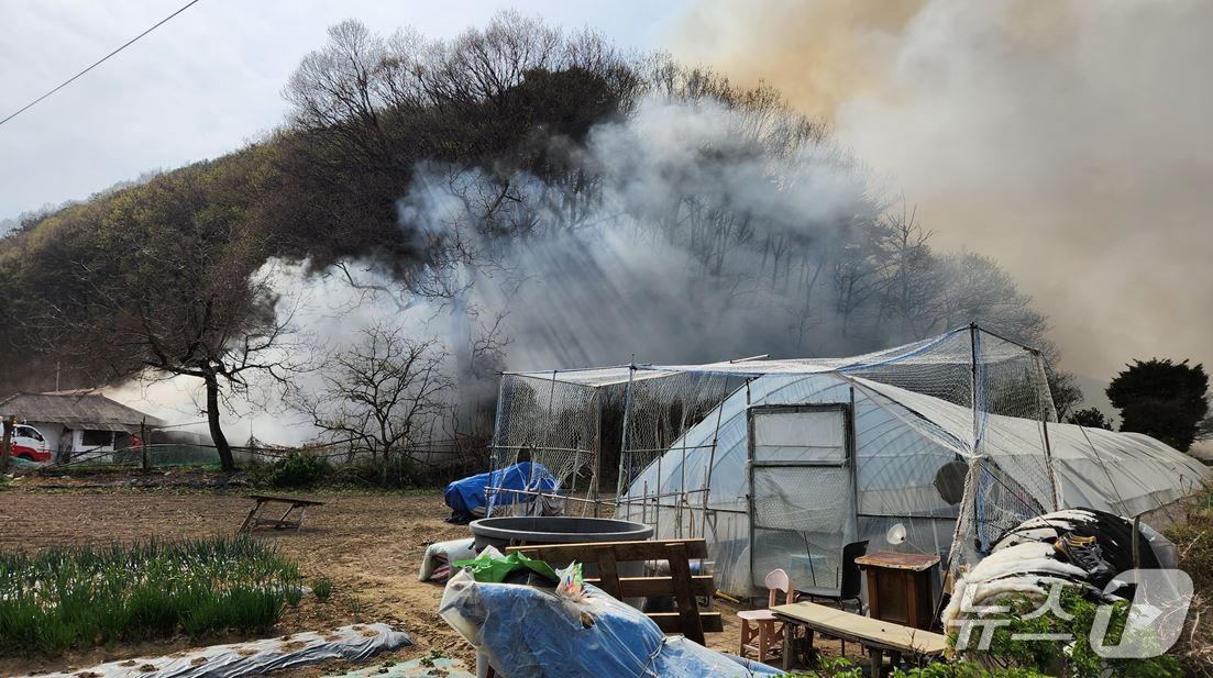 9일 오후 2시50분쯤 걍북 성주군 수륜면 산림 인접 지역 주택에서 난 불이 산으로 옮겨붙었다. (경북도소방본부제공) 2025.4.9/뉴스1 