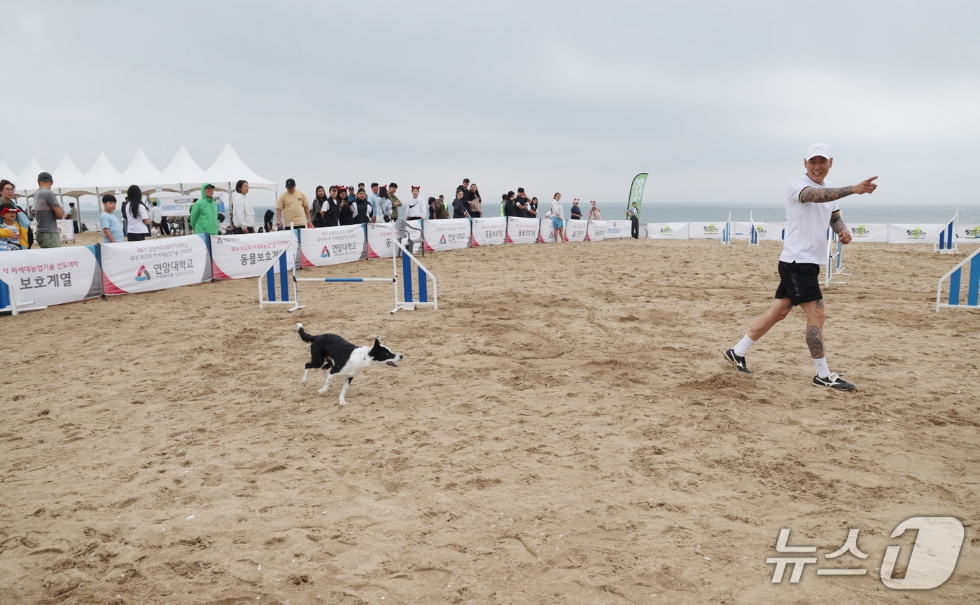  충남 태안군 반려동물 해변운동회(태안군 제공) /뉴스1
