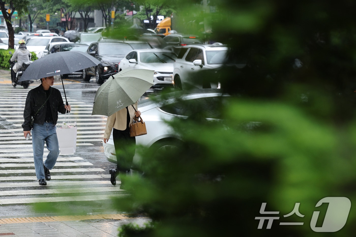 우산을 쓴 시민들이 걸음을 옮기고 있다. 2025.5.1/뉴스1 ⓒ News1 신웅수 기자