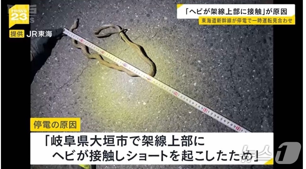 일본 도카이도(東海道) 신칸센의 일부 구간에 30일 오후 정전이 발생해 1시간 반 정도 일부 구간 운행이 중단됐다. JR 도카이는 선로 내 가선에 뱀이 접촉해 합선이 발생한 것이 원인이라고 발표했다. <MBS뉴스 화면 캡처>