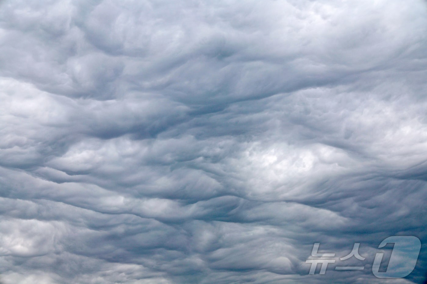 하늘을 가득 채운 구름.(자료사진)/뉴스1