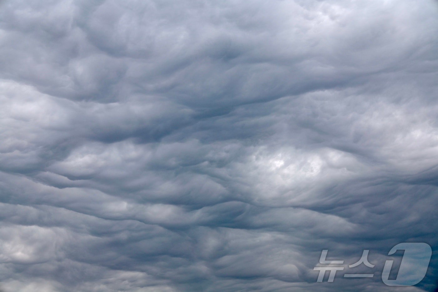 (사진은 기사 내용과 무관함) / 뉴스1 ⓒ News1