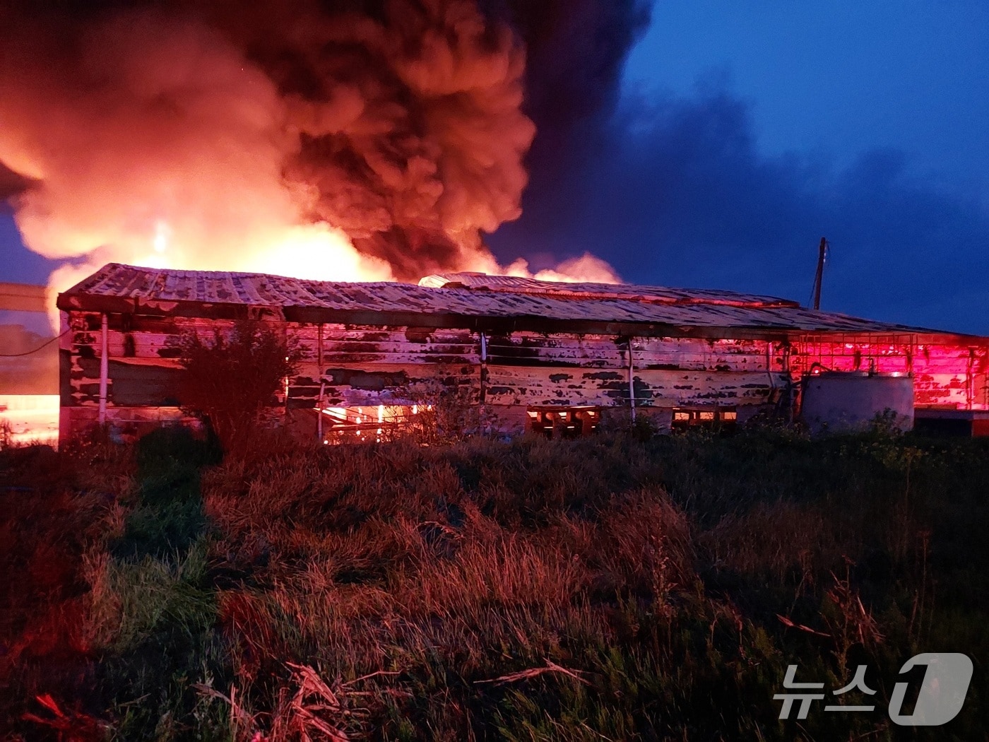 11일 오전 4시 34분께 전북자치도 익산시 삼기면의 한 고구마 선별장에서 불이 났다.(전북소방 제공. 재판매 및 DB금지) 