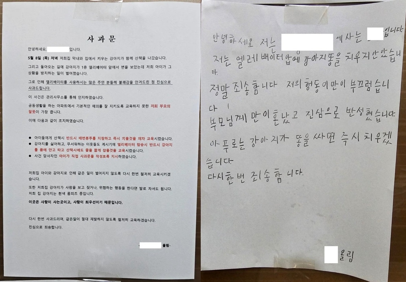 (온라인 커뮤니티 갈무리)