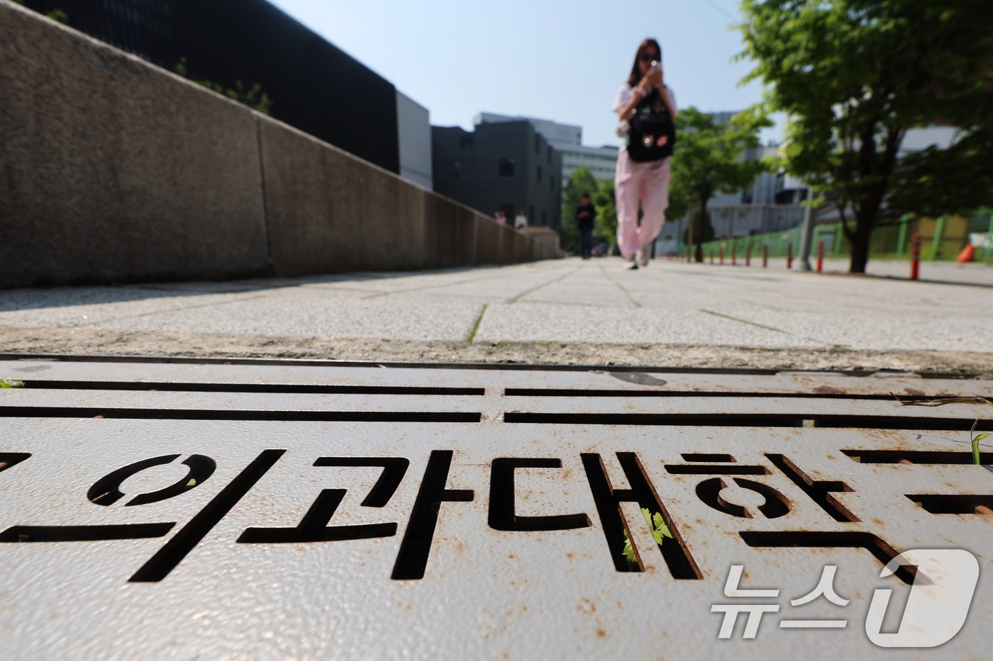 사진은 12일 서울 시내 의과대학의 모습. 2025.5.12/뉴스1 ⓒ News1 황기선 기자