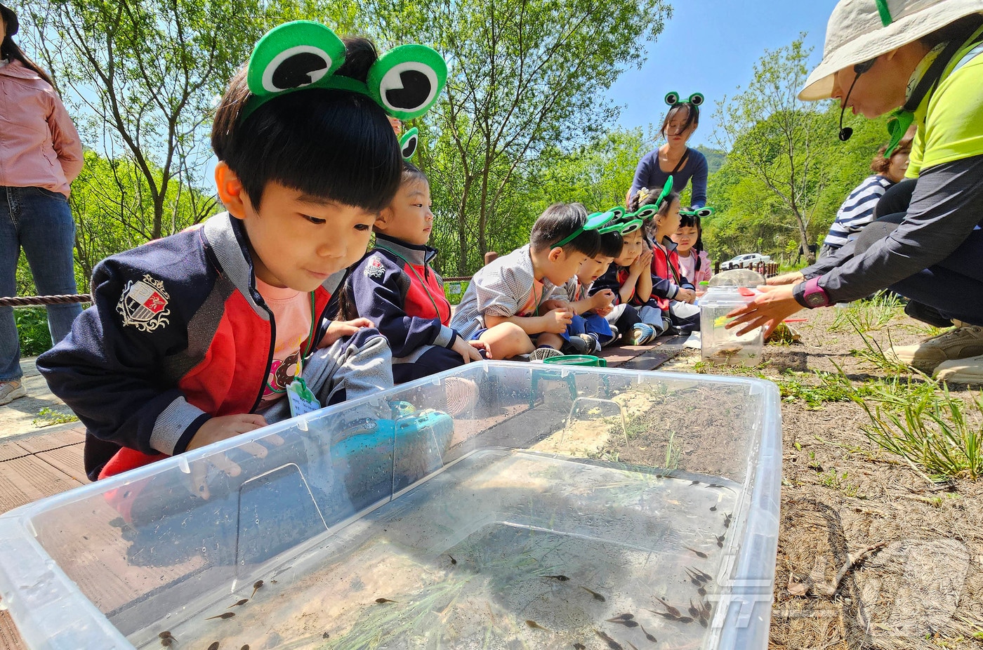 12일 광주 북구 화암동 평두메습지에서 열린 ‘람사르습지 탐험대’ 프로그램에 참가한 해달별 어린이집 아이들이 습지에 서식하는 올챙이와 곤충들을 관찰하며 자연의 소중함을 느껴보고 있다.(광주 북구 제공. 재판매 및 DB 금지)