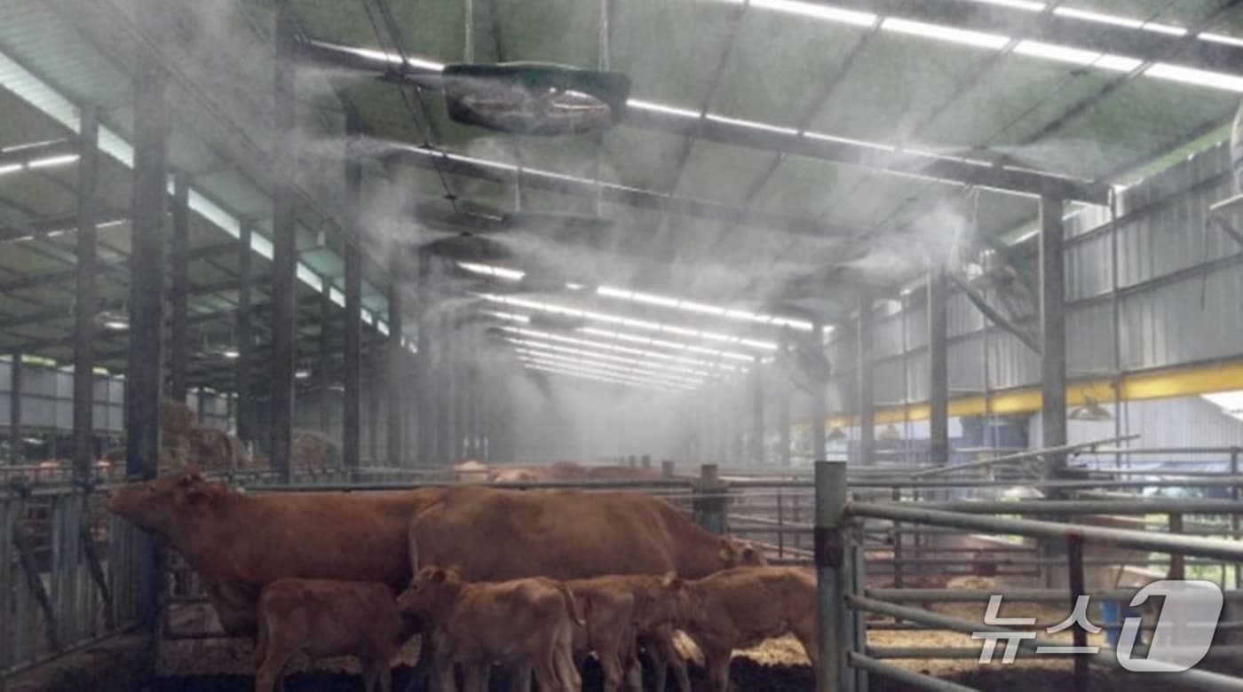 가축 폭염 피해 예방.(전남도 제공. 재판매 및 DB금지) 2025.5.12/뉴스1