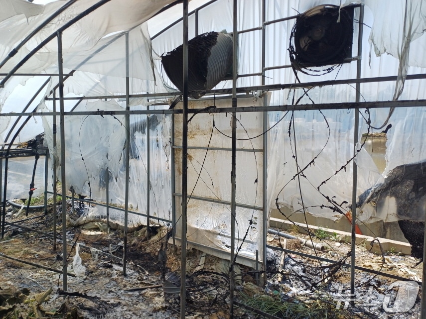 논산 연무읍 비닐하우스 화재 현장. (논산소방서 제공, 재판매 및 DB금지) / 뉴스1 