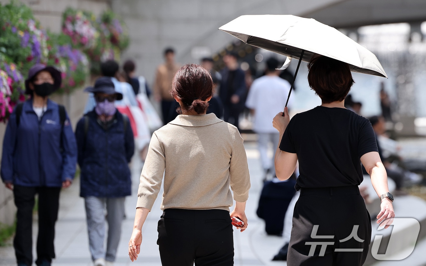 자료사진/뉴스1