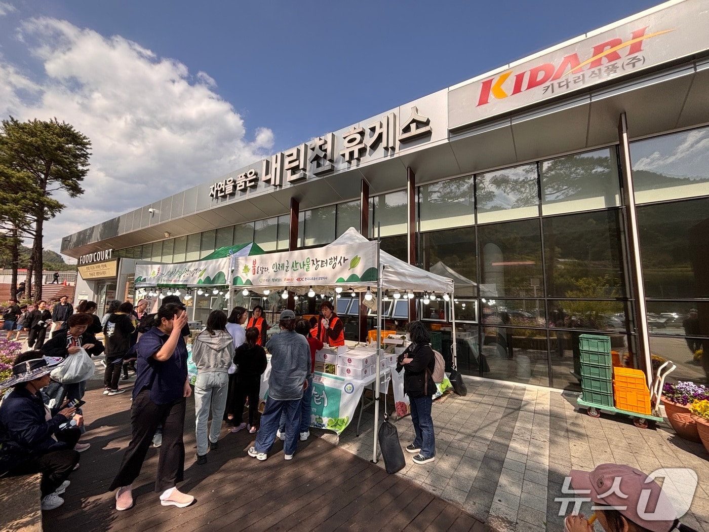 인제 산나물 판매현장.(인제군 제공. 재판매 및 DB금지)/뉴스1