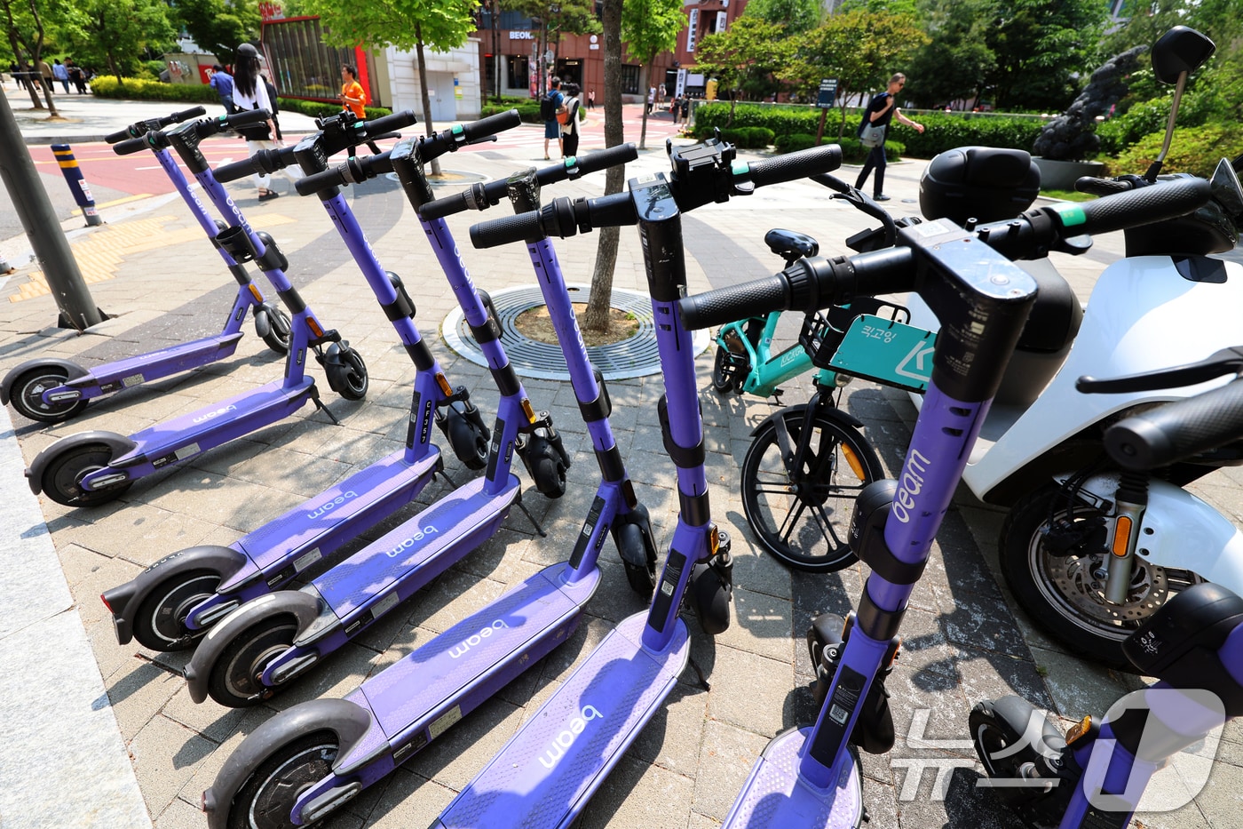 개인형 이동장치&#40;PM&#41; 자료사진&#40;사진은 기사 내용과 무관함&#41; / 뉴스1 ⓒ News1