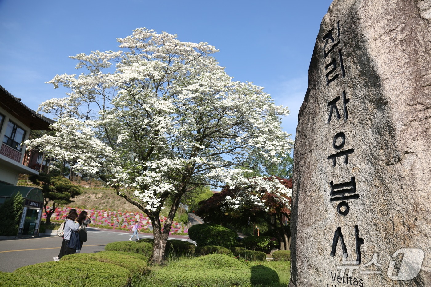 한남대 설립 이념 기념비(한남대 제공.재판매 및 DB금지)/뉴스1