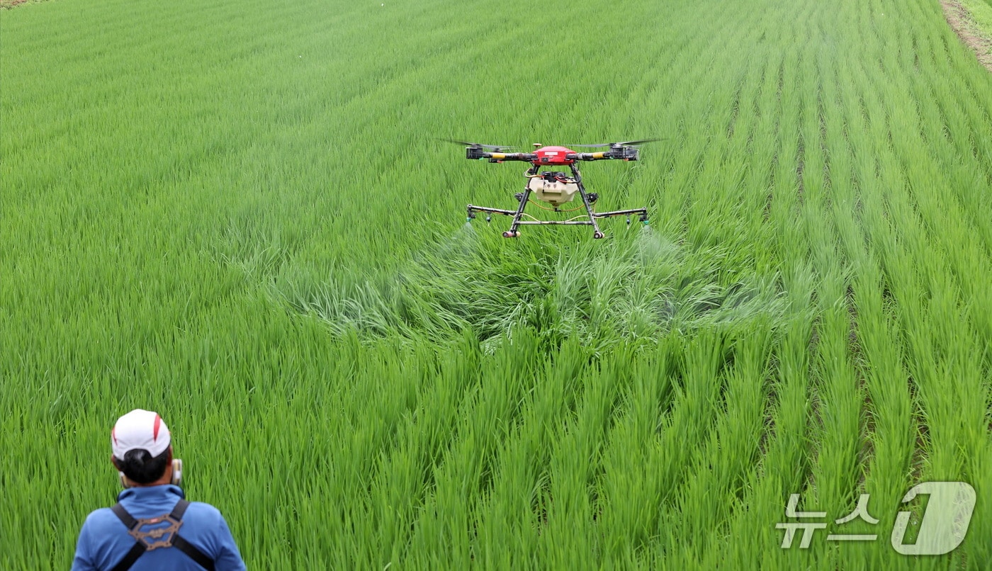 전북자치도 임실군은 13억 3800만원을 투입해 벼 병해충 공동방제 지원사업을 추진한다.(임실군제공. 재판매 및 DB금지)2025.5.14/뉴스1