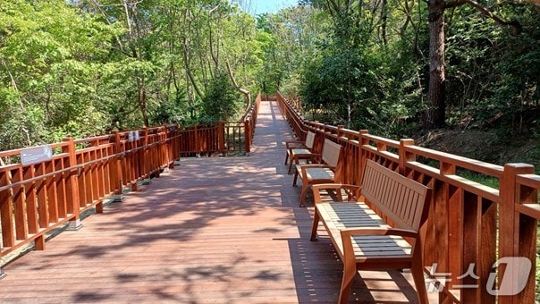 이기대공원 숲속산책길(부산시청 제공. 재판매 및 DB 금지)