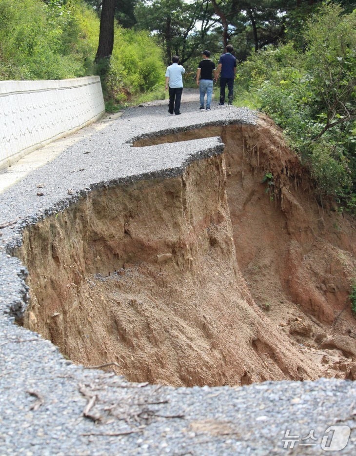 2020년 8월 제천시 금성면 월림리 산림 호우 피해 현장./뉴스1