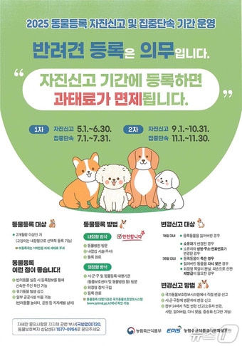 동물등록 자진신고 홍보물.(해운대구청 제공. 재판매 및 DB 금지)