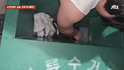 아파트 헌옷 수거함에 버려진 강아지…"한 마리는 이미 숨졌다" 공분