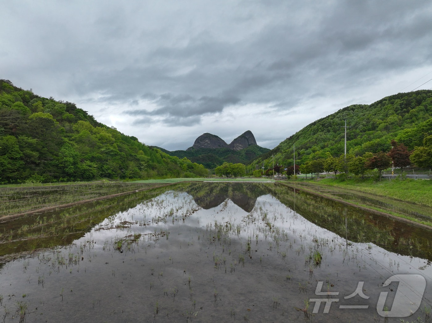 전북 진안군 진안읍 가림리에 벼농사를 준비하는 논물 위로 마이산의 모습이 고요히 비치며 자연이 만든 거울처럼 장관을 이룬다.(진안군제공. 재판매 및 DB금지)2025.5.16/뉴스1 