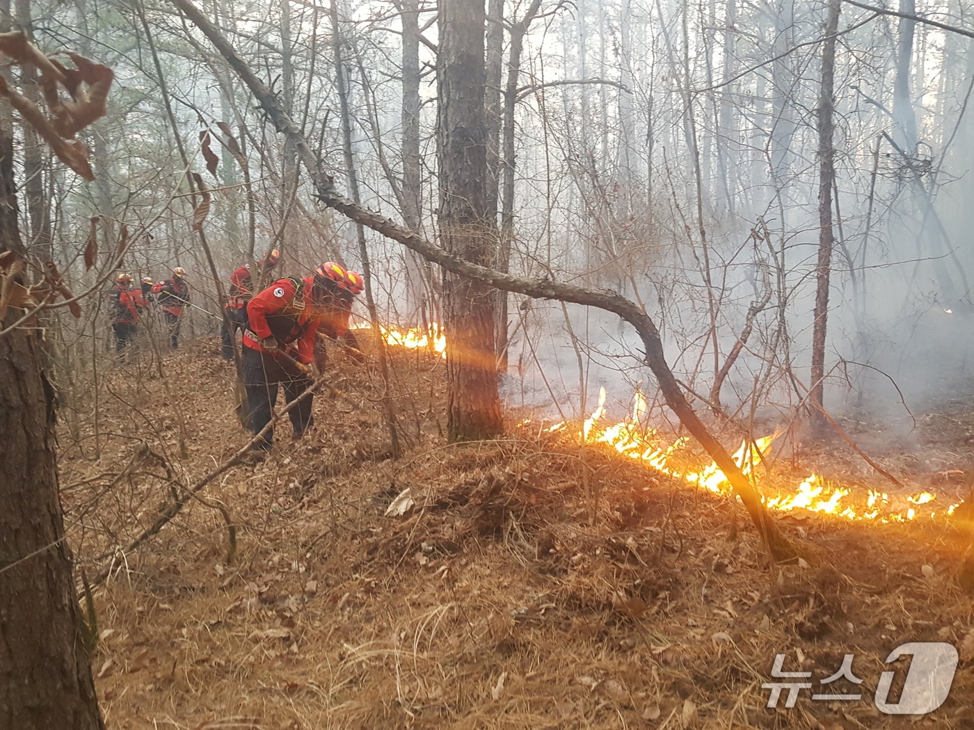 경북 의성 산불진화작업 자료사진 (산림청 제공.재판매 및 DB금지)/뉴스1