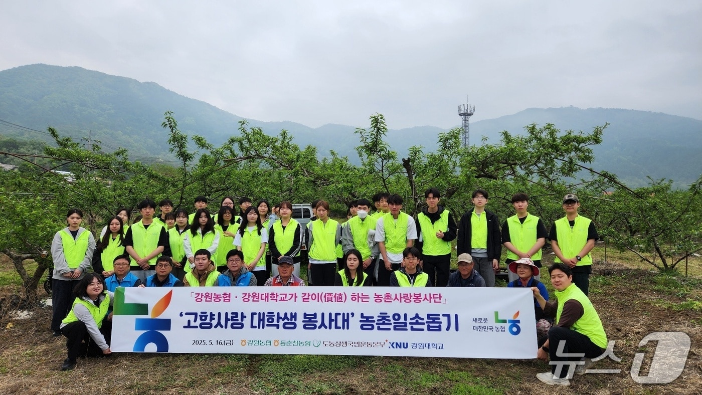 농촌 일손 돕기.(농협 강원본부 제공. 재판매 및 DB금지)/뉴스1