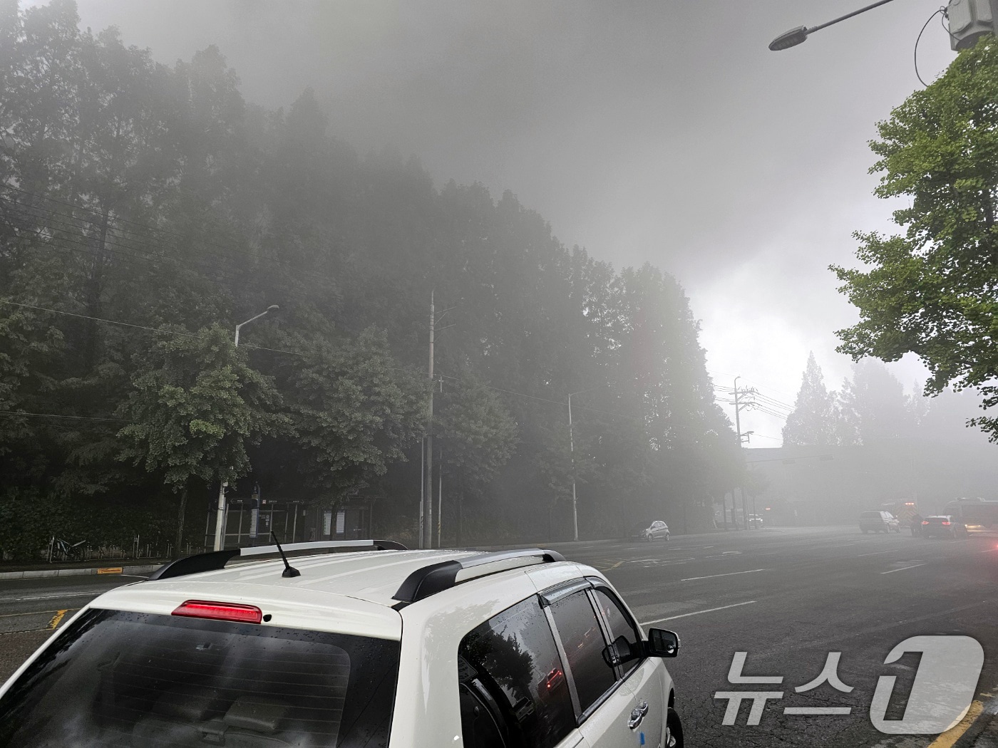 17일 오전 7시 11분쯤 광주 광산구 소촌동 금호타이어 광장공장에서 불이 나일대에 검은 연기가 뒤덮인 모습. ⓒ News1 최성국 기자