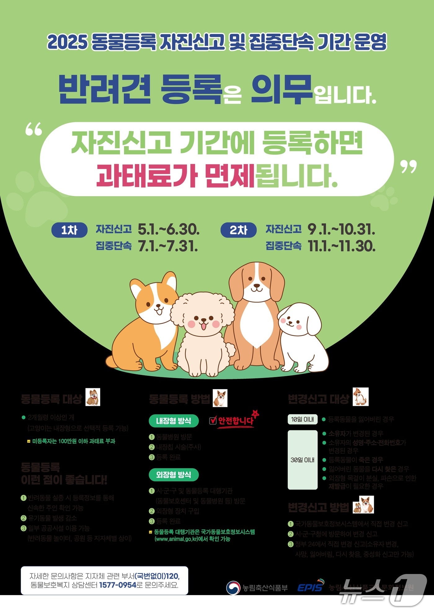 동물등록 자진 신고 홍보 포스터. (양산시 제공. 재판매 및 DB 금지)