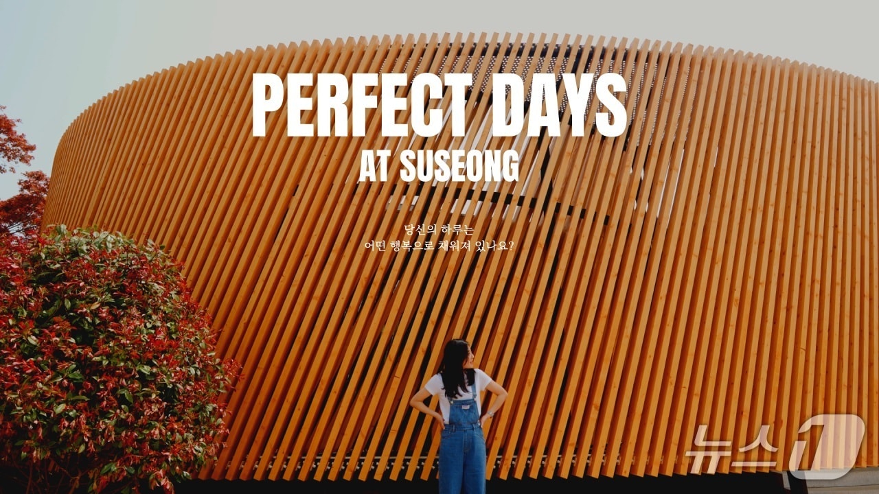 대구 수성구 공식 유튜브에 업로드 된 '퍼펙트 데이즈 앳 수성' 썸네일 화면.(재판매 및 DB금지)