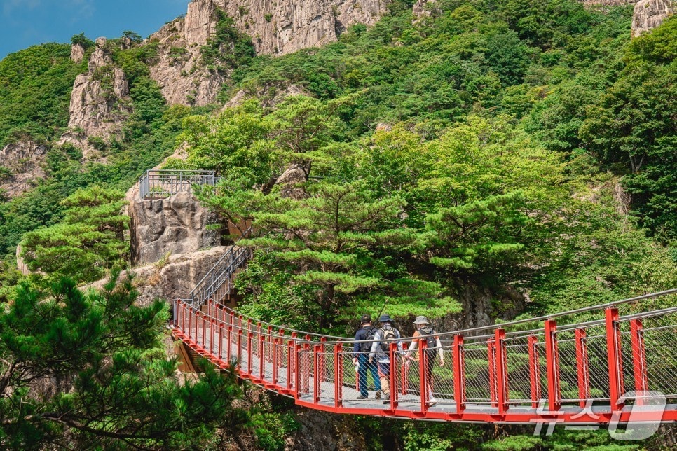 전북 완주군은 대둔산 축제 프로그램 참가자를 모집한다고 19일 밝혔다.(완주군 제공. 재판매 및 DB금지)2025.5.19/뉴스1