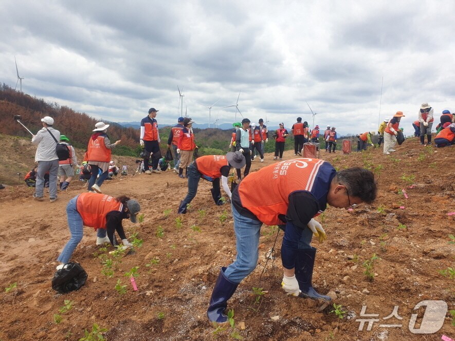  경북 포항시와 (사)포항시자원봉사센터는 초대형산불피해지역인 영덕군 별파랑공원에서 '산불 피해회복 다시 마을로 잇는 온기나눔 볼런투어'로 복구에 힘을 보탰다. (포항시제공, 제판매 및 DB 금지) 2025.5.19/뉴스1