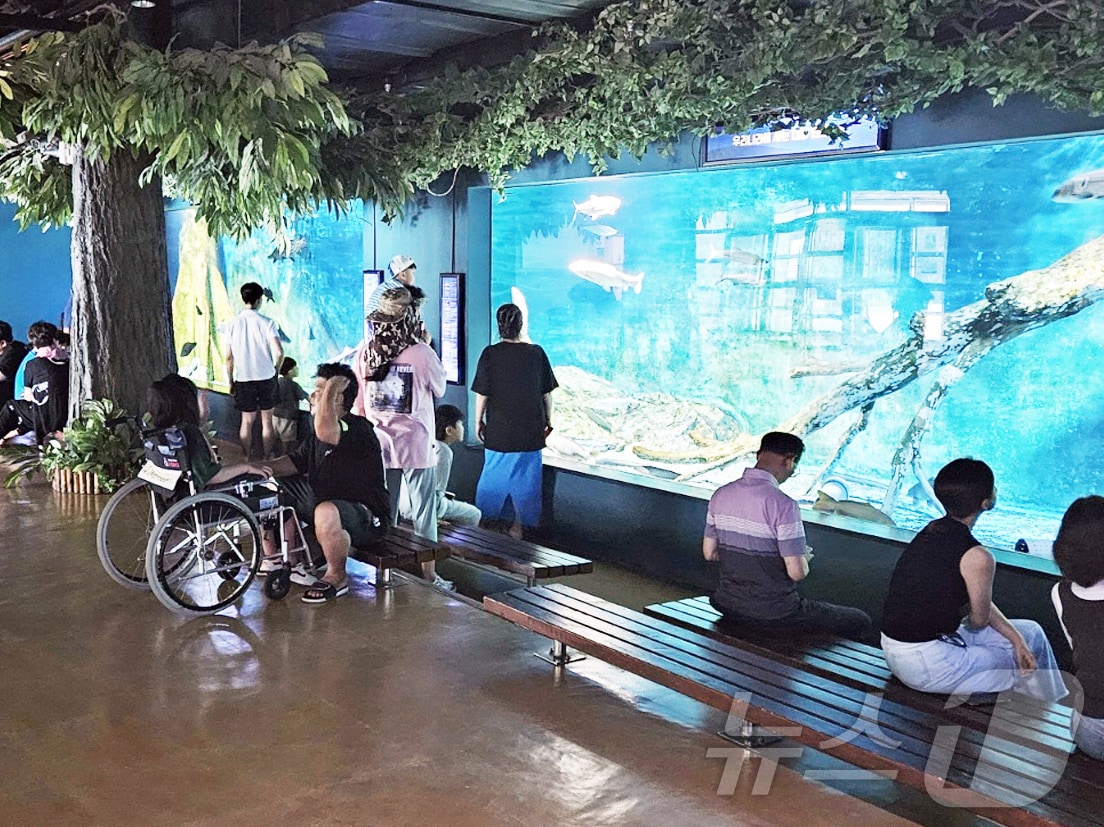 경북민물고기연구센터가 어린이날을 맞아 3~5일 '온 가족이 떠나는 생태체험여행'을 주제로 이색 동물 체험 특별 전시를 진행한다. ⓒ News1 김대벽기자