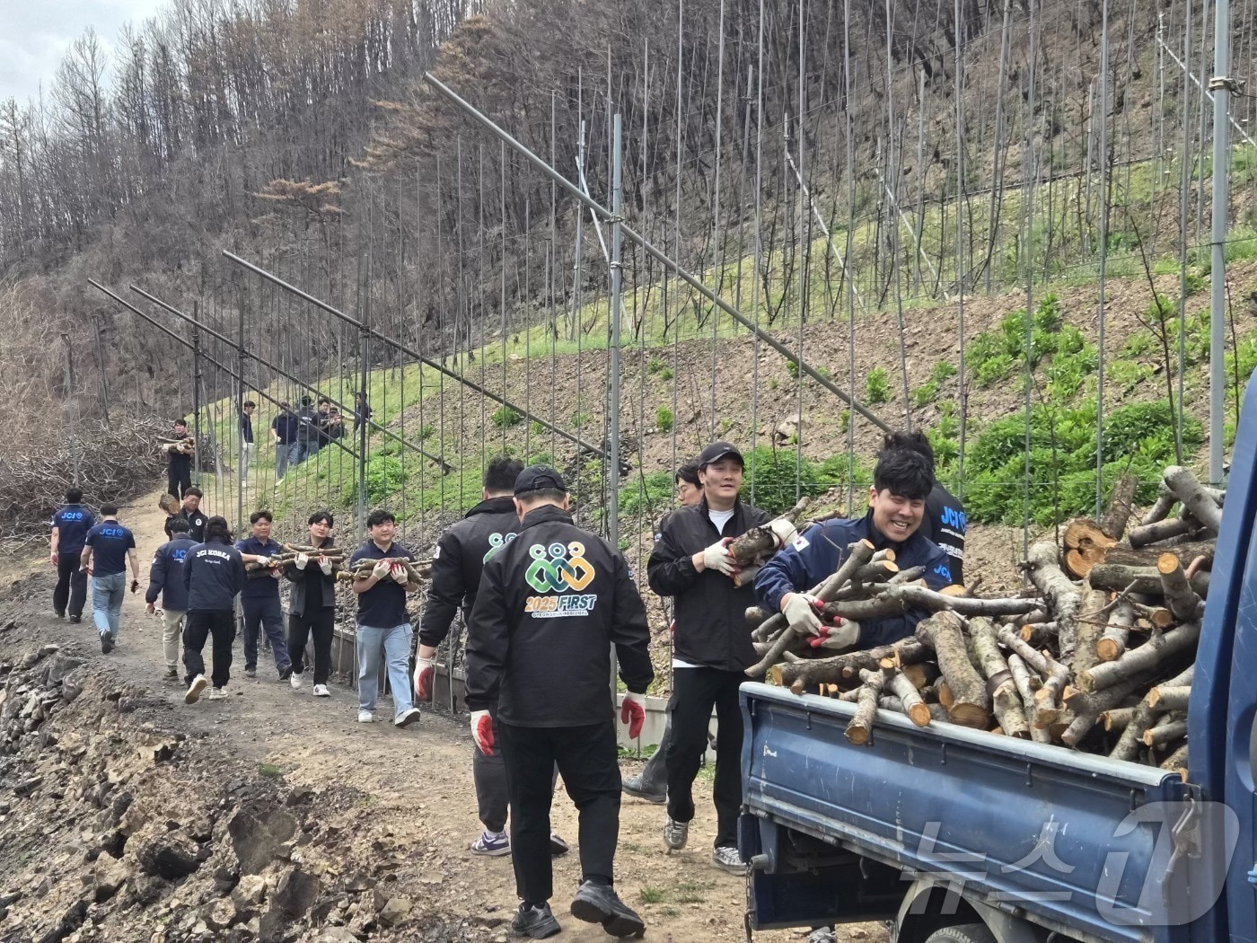 경북지구청년회의소(JC) 회원 50명이 최근 산불 피해를 입은 영덕군 지품면 과수농가를 찾아 봉사활동을 펼쳤다. ⓒ News1 김대벽기자