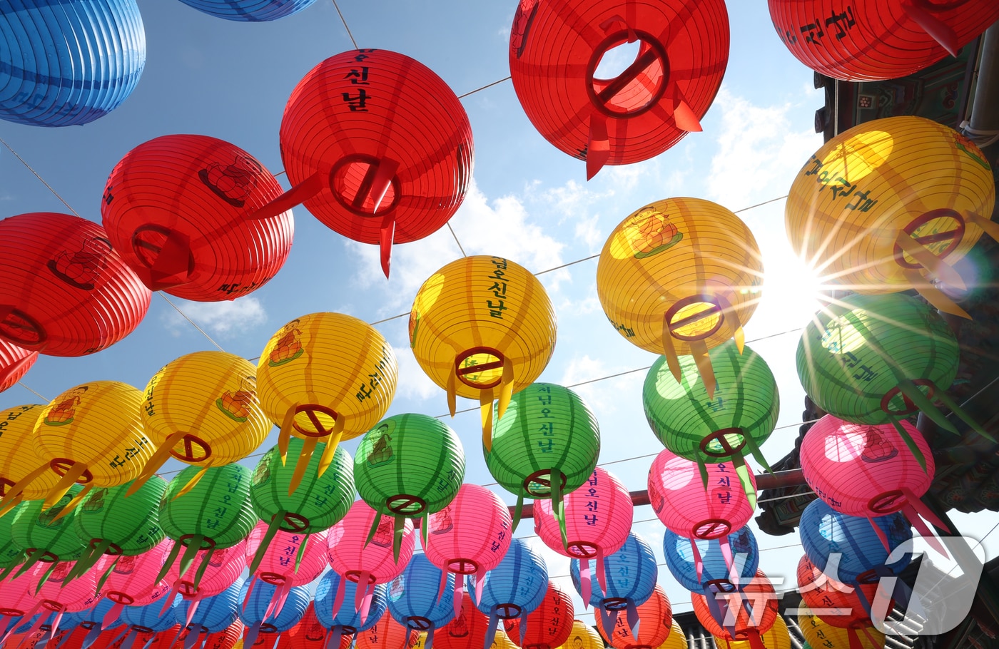 부처님 오신 날을 사흘 앞둔 2일 오전 경기 화성시 용주사에 형형색색의 연등이 바람에 휘날리고 있다. 2025.5.2/뉴스1 ⓒ News1 김영운 기자