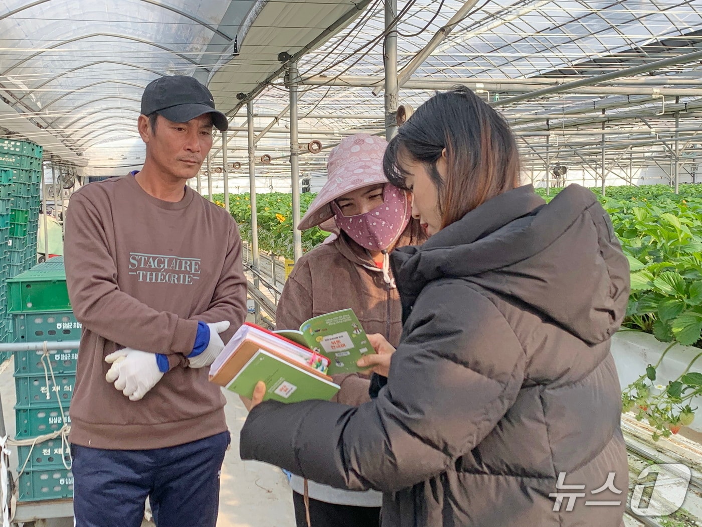 전북자치도 임실군의 계절근로자 운영 점검을 시니어클럽이 맡게 됐다.(임실군제공. 재판매 및 DB금지)2025.5.2/뉴스1