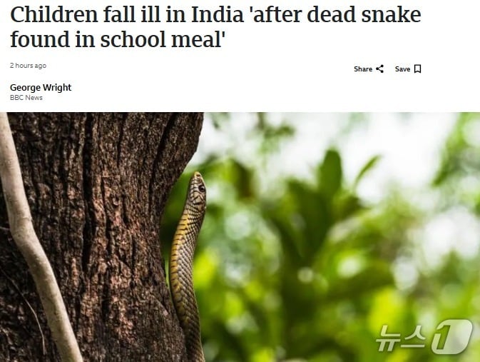 해당 기사 - BBC 갈무리