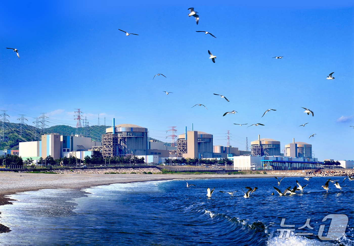 한수원(주) 월성원자력본부 전경(뉴스1 자료, 재판매 DB 금지) 2025.5.20/뉴스1 