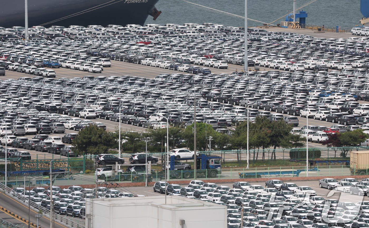 ⓒ News1 김영운 기자