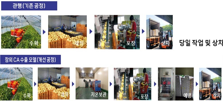 참외 대기조성제어 저장(CA) 기술 적용 설명 자료(농촌진흥청 제공) 2025.05.20 /뉴스1