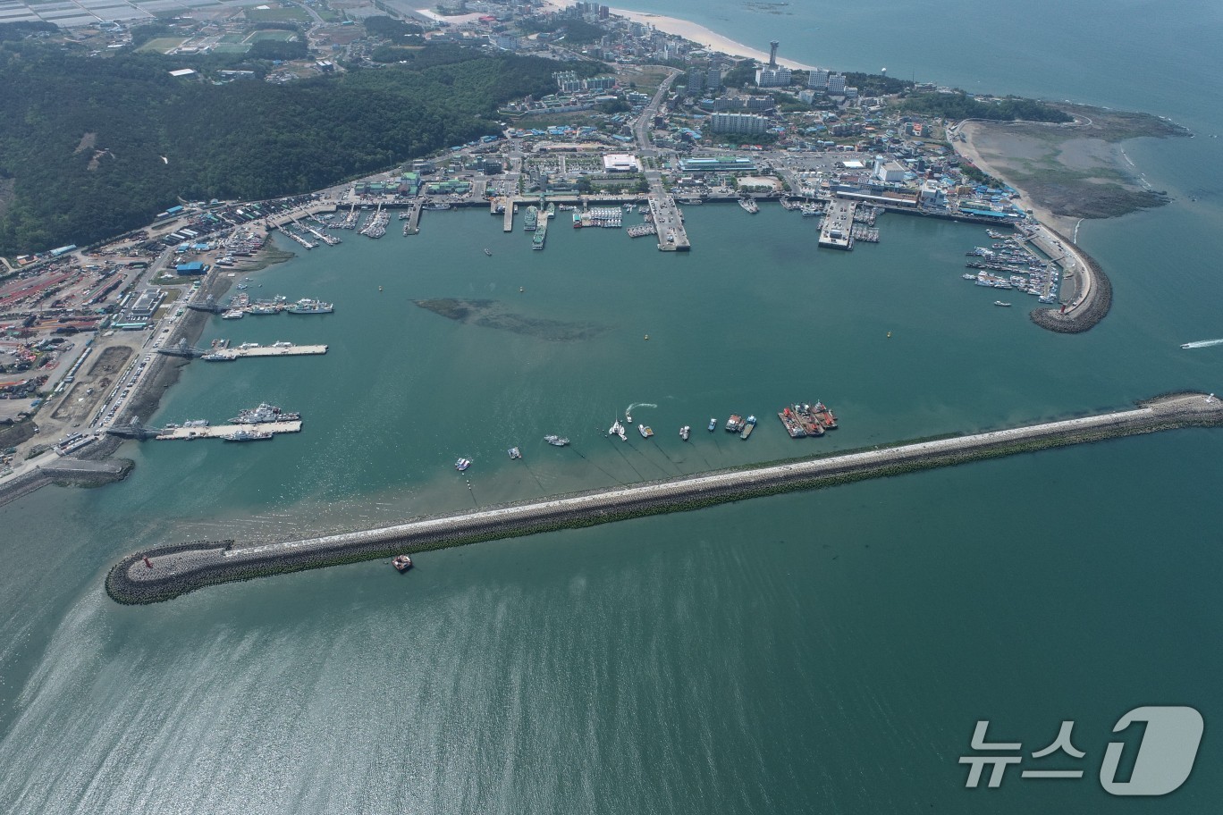준설공사가 진행될 보령 대천항 간출지 모습. (충남도 제공, 재판매 및 DB금지) / 뉴스1